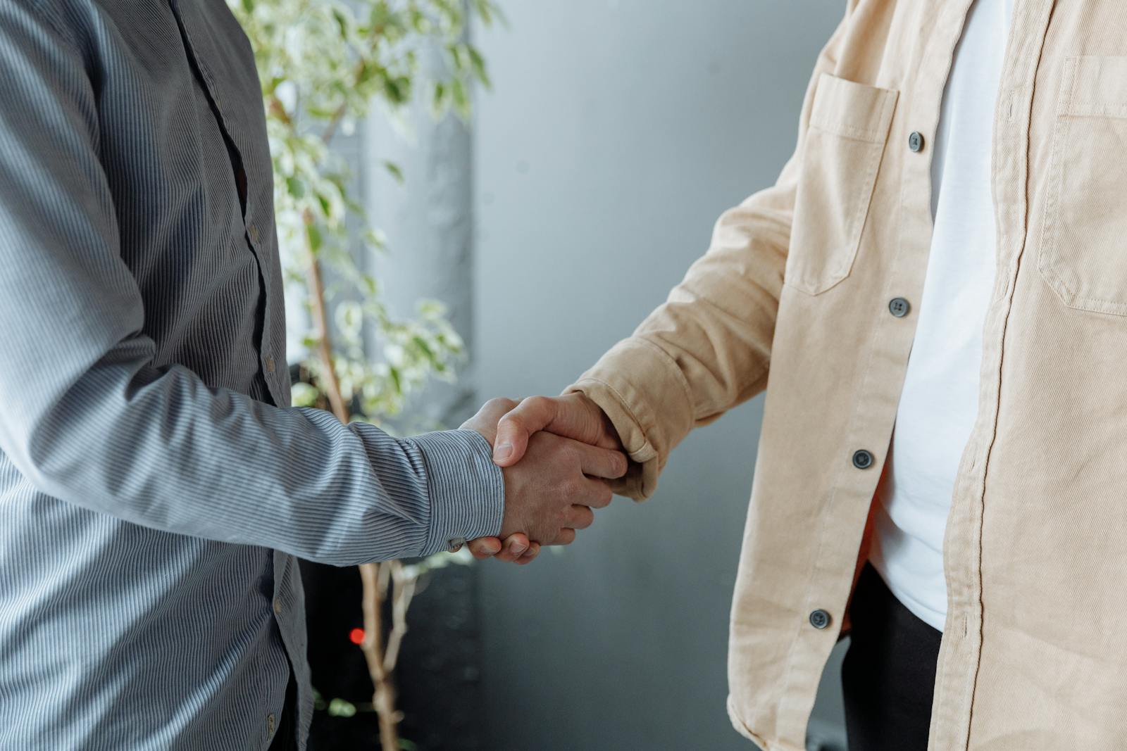Close-up of two professionals shaking hands in a casual office with a plant in the background